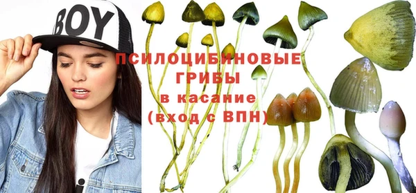амф Медногорск